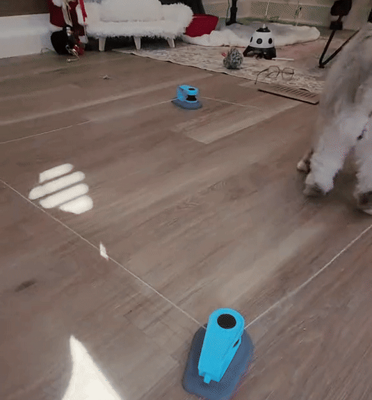 PawMotion™