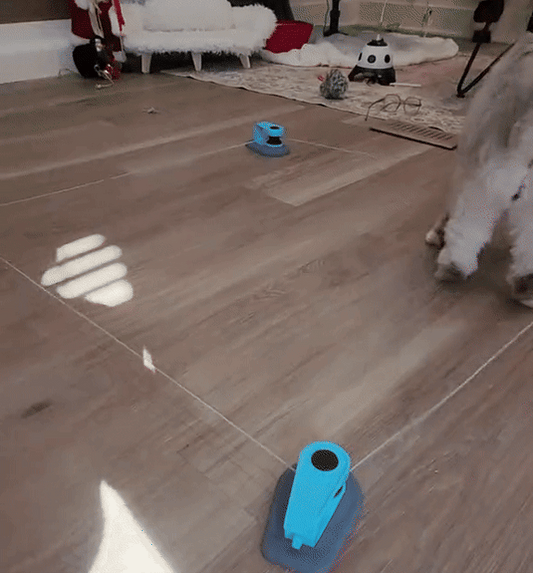PawMotion™