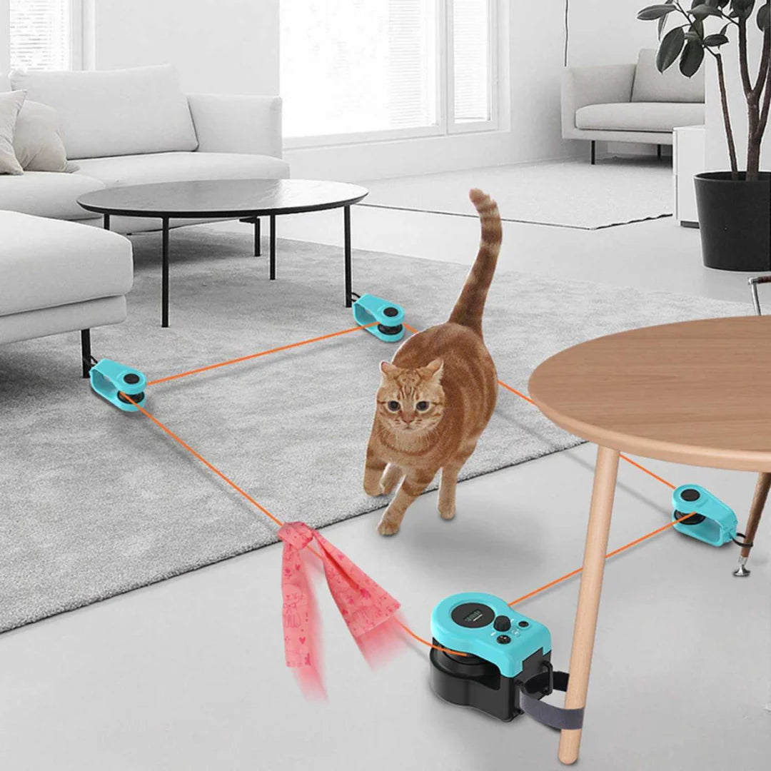 PawMotion™