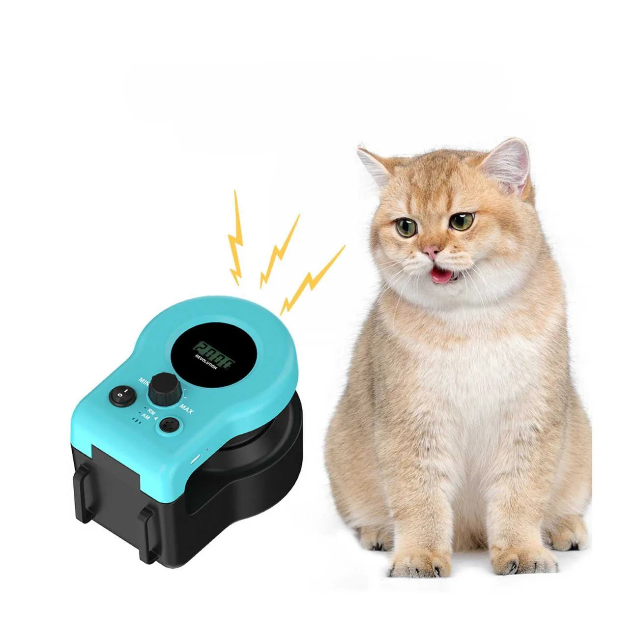 PawMotion™